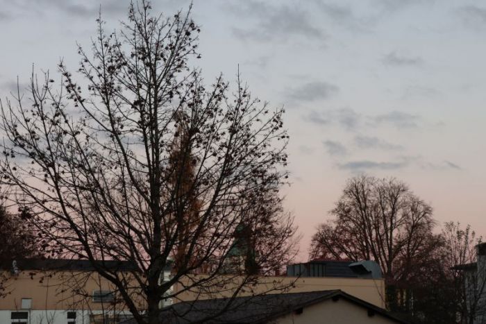 Im weichen abendlicht