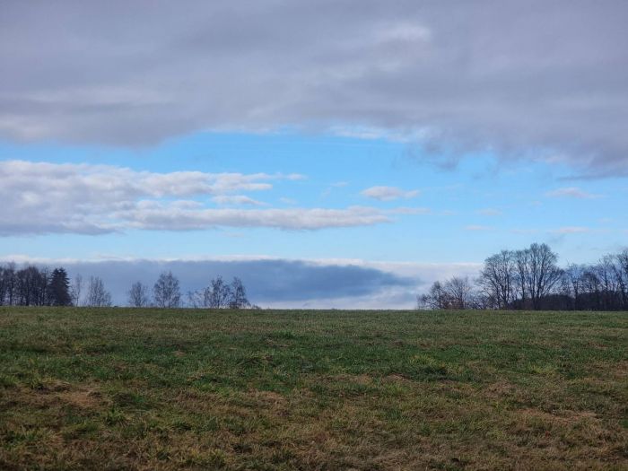 Wiese meiner kindheit