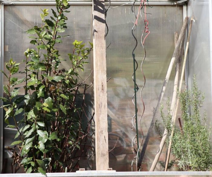 Geglückte überwinterung