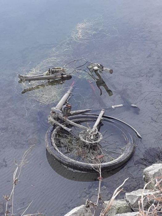 Niedrigwasser am inn