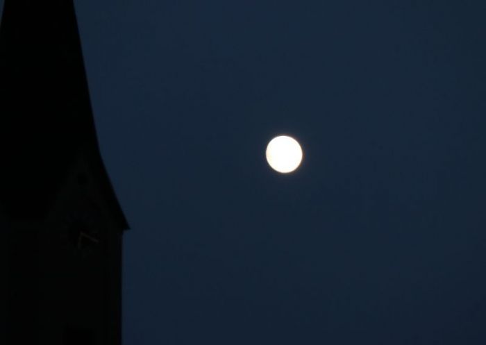 Mond