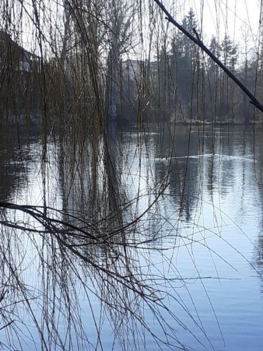 Ein hauch von frühling