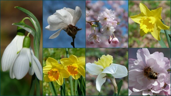 Frühlingscollage