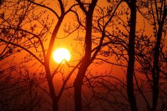 Sonnenaufgang