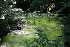 Fluss