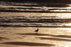 Spaziergang Spaziergang