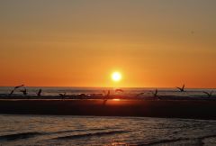 Syltimpressionen Syltimpressionen