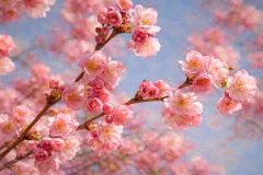 Blüten Blüten