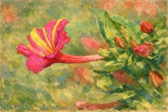 Blüte Blüte