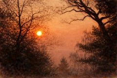Wald Wald