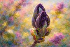 Knospen Knospen