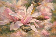 Magnolie Magnolie