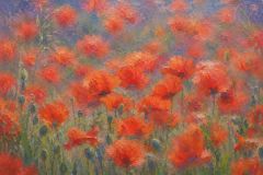 Mohnblumen