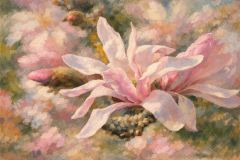 Magnolie Magnolie