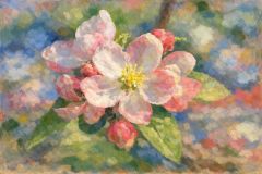 Blüte Blüte
