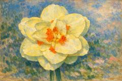 Osterblume Osterblume
