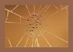 Feingefühl Feingefühl