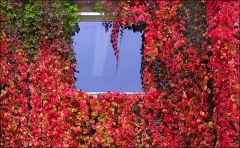 Fenster im Oktober Fenster im Oktober