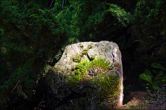 Geheimnisvoller grosser Stein im Wald