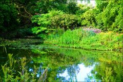 Kleiner See Kleiner See