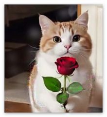 Ein Gruß zum gestrigen VALENTINSTAG von Freunden Ein Gruß zum gestrigen VALENTINSTAG von Freunden