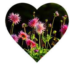 Ich liebe den Herbst