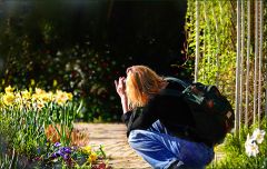 Fotografin Fotografin