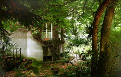 Ein geheimnisvolles Haus in dem niemand mehr wohnt Ein geheimnisvolles Haus in dem niemand mehr wohnt