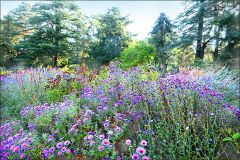 Herbstmorgen Anfang Oktober