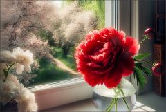 Pfingstsonntag Pfingstsonntag