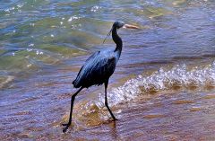 Grüße von Freunden aus Ägypten