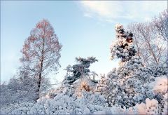Gestern hat es in Köln geschneit Gestern hat es in Köln geschneit