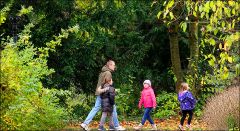 Herbstwanderung Herbstwanderung