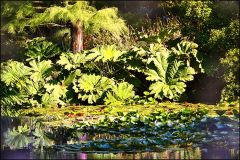 Pflanzen am Waldteich