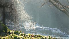 Wintermorgen mit Raureif