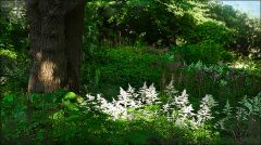 Licht und Schatten Licht und Schatten