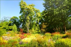 Ein Morgen im September