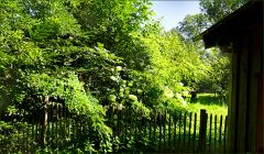 Gartenzaun Gartenzaun