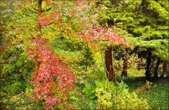 Herbstfarben Herbstfarben