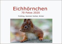 Mein FOTO-EBOOK: Eichhörnchen