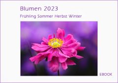 Ebook Blumen 2023
