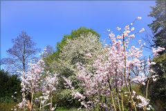 Frühlingsduft Frühlingsduft