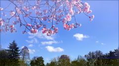 Ein Morgen im April Ein Morgen im April