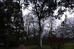 Wald im Februar Wald im Februar