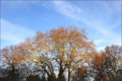 Morgensonne im Januar