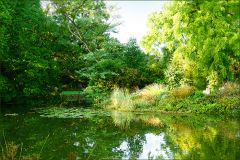 Waldsee im September