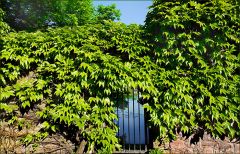 Geheimnisvoller Ort Geheimnisvoller Ort