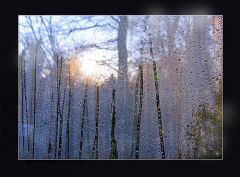 Regentropfen auf der Fensterscheibe Regentropfen auf der Fensterscheibe