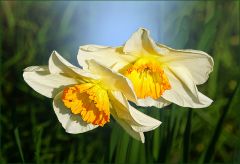 Einen schönen Karfreitag