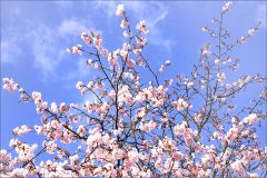 Frühlingsluft Frühlingsluft